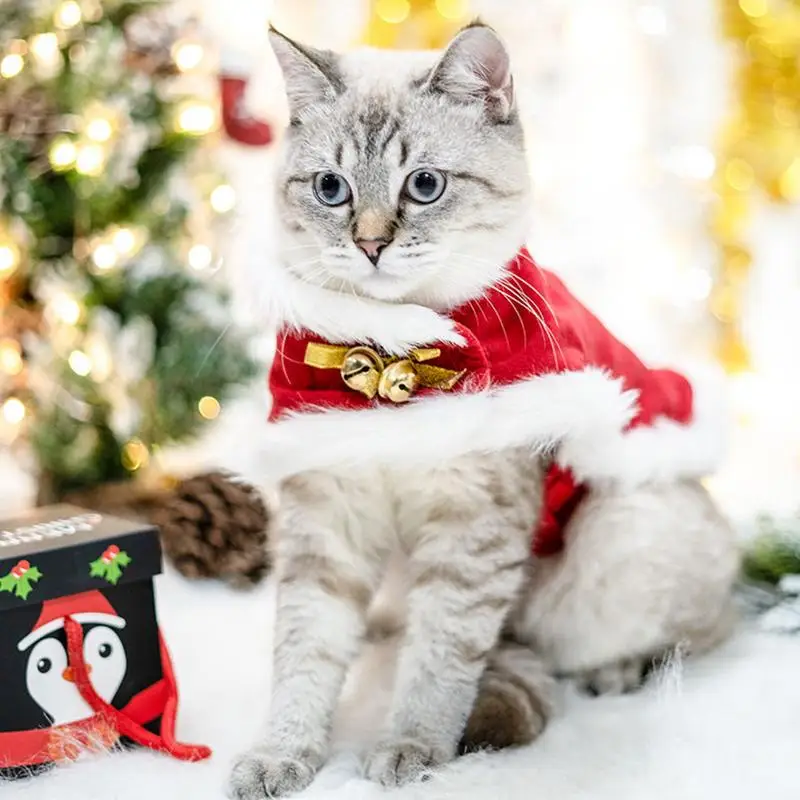 Mačka Vianočné Cape Vianočné Šteňa Cape Priedušná A Nastaviteľné Mačky, Oblečenie Pre Vianočný Večierok Cestovné Motív Strany Foto