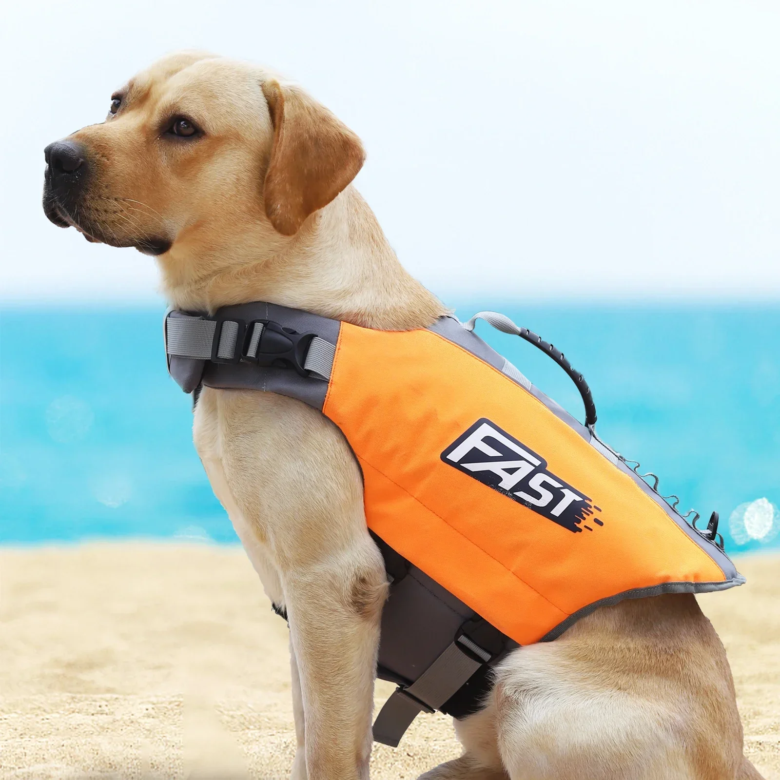 Móda Psa Vesta Život Vesta Pet Plávanie Bezpečnosti Oblečenie Pre Psov Plavky Golier Postroj Letné Kúpanie Oblek Služobného Psa Vesta