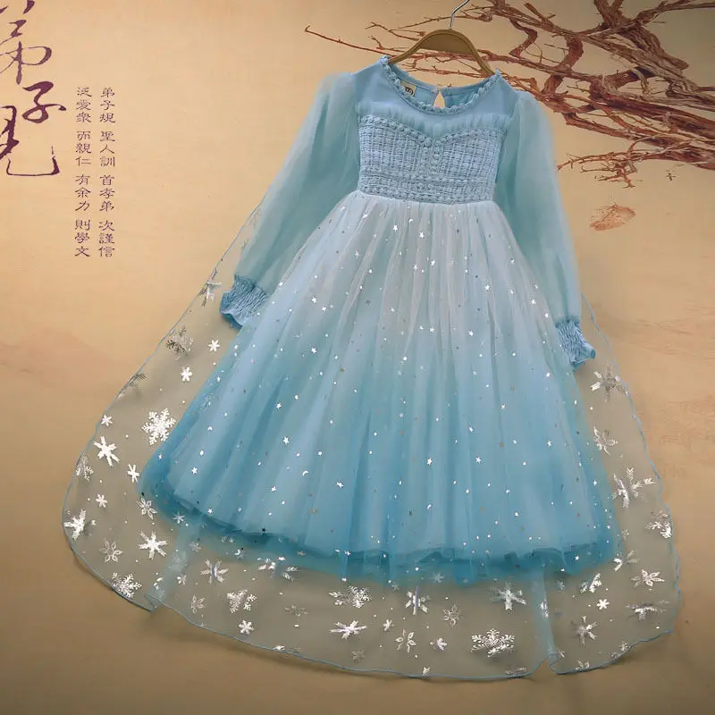Na jar a na Jeseň Girl Dress Mrazené Elsa Snehová Kráľovná Strany Princezná Šaty s Krásnymi Cape Halloween Narodeniny Vyhovovali Dievča