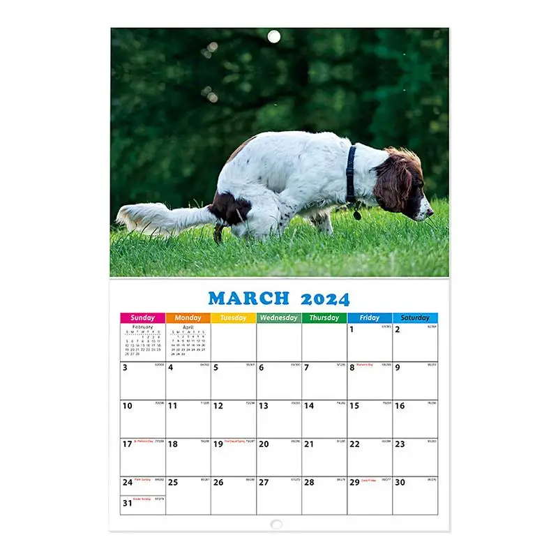 Psy Kalendár 2024 Pooping Psov Hangable nástenný Kalendár 11X11 Palcový Otvoriť Hrubé & Robustné Papier Rodiny Plánovač & Denne Organizátor