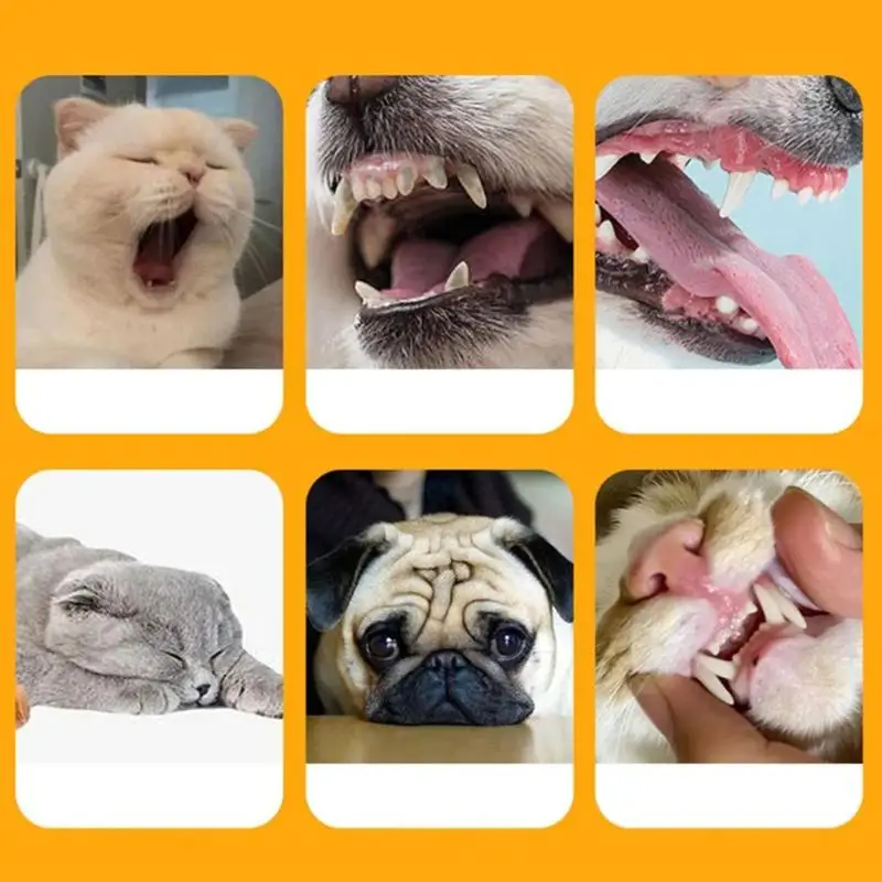 Super Soft Zubná Kefka 360 Ústne Čistenie Pet Kefka Odstrániť Zlý Dych Zubného Kameňa Zubná Kefka Psy, Mačky Starostlivosť O Ústnu Dutinu Úst Cleaner