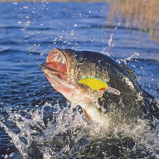 YINYU Lákať Rybárske Navijaky Ľahký Dlho Casting Rockfish 2500-6000 Série kolovrátok AMOR pre morský Rybolov